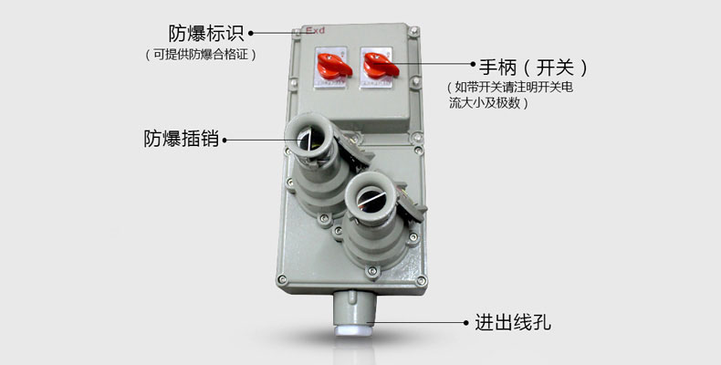 BXX51系列防爆检修电源箱